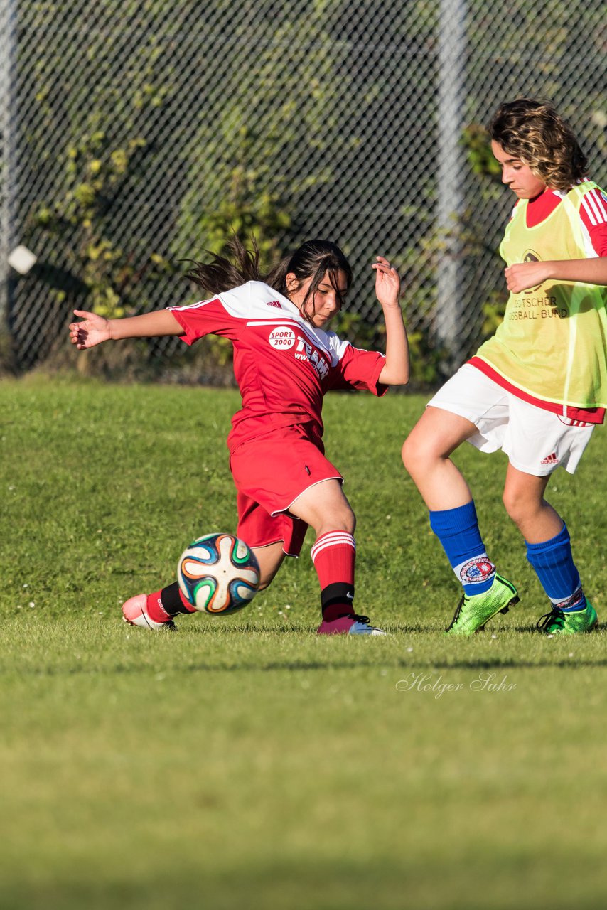 Bild 186 - C-Juniorinnen Alveslohe - KT : Ergebnis: 0:23